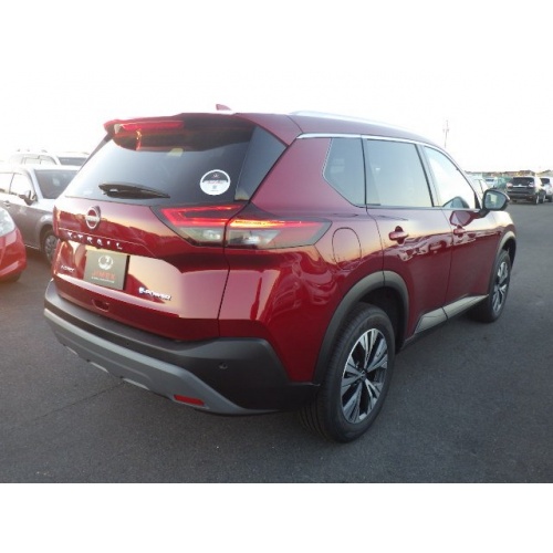 red_x-trail_5