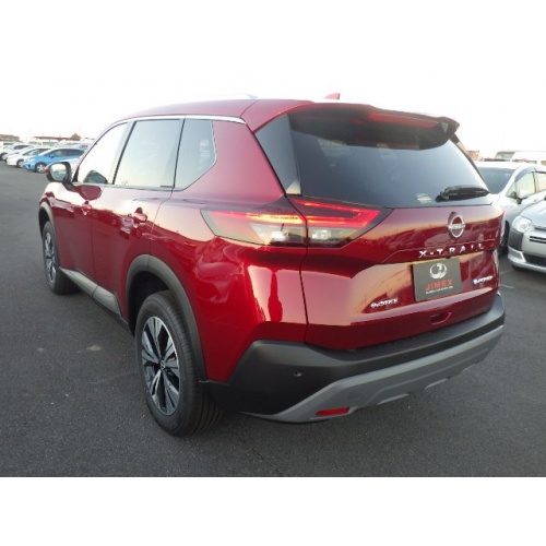 red_x-trail_6